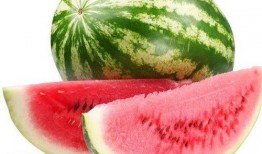 新疆网红新瓜最新爆料,揭秘神秘事件背后的真相