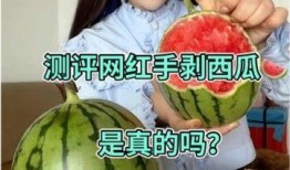 吃瓜网红最近消息是真的吗,真实性揭秘