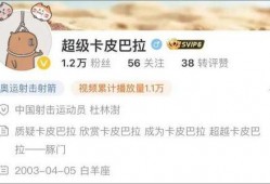 卡哥最新爆料视频下载免费,免费下载背后的秘密与机遇