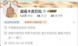 卡哥最新爆料视频下载免费,免费下载背后的秘密与机遇