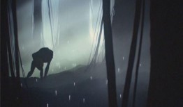 爆料外星人是真的吗视频,真相还是虚构？