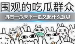 吃瓜群众免费抖音,带你领略短视频新潮流