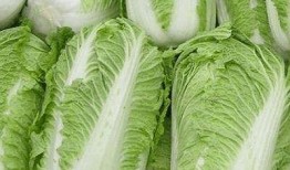 白菜在线观看,一场视觉盛宴的云端之旅