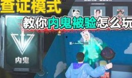 流浪者内鬼爆料视频,视频揭露惊人内幕