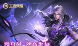 最新英雄皮肤爆料,炫酷造型与独特技能，带你领略游戏新风采