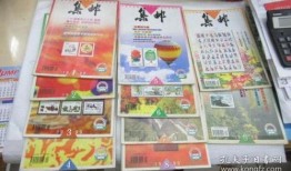 香港爆料家暴案件最新进展,受害者勇敢发声，警方全力追查真相