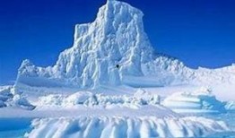 南极最新爆料新闻事件,冰原深处的未知生命之谜