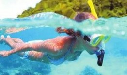 一线吃瓜海底见月免费阅读,免费畅读奇幻冒险之旅