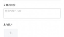 最新爆料小程序,小程序背后的秘密与未来趋势