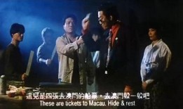 星探电影粤语在线观看,璀璨星空下的追梦之旅