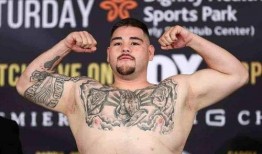 天禄小胖爆料视频大全,揭秘幕后真相与趣味瞬间