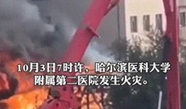 哈尔滨爆料事件始末视频,真相大白，揭秘背后真相