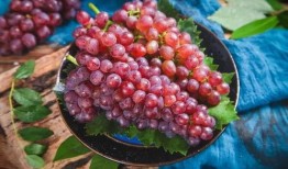 网红吃葡萄瓜是真的吗,是炒作还是美味？